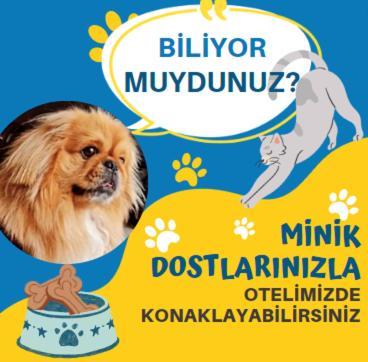 Отель Osmanli Самсун